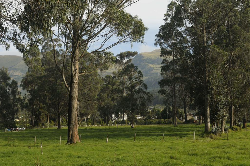 Bed and Breakfast Molino San Juan Cayambe Exterior foto