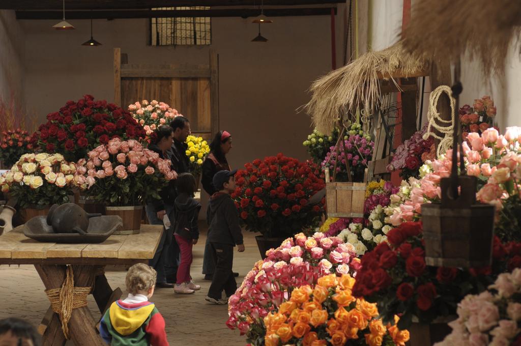 Bed and Breakfast Molino San Juan Cayambe Exterior foto