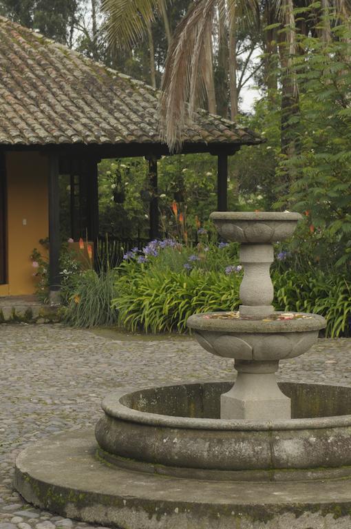 Bed and Breakfast Molino San Juan Cayambe Zimmer foto